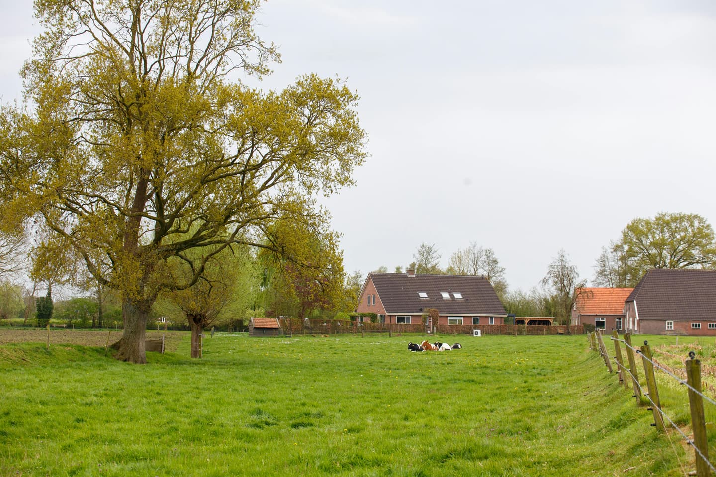 Inbox Storage opslag in Dieren, opgehaald aan huis